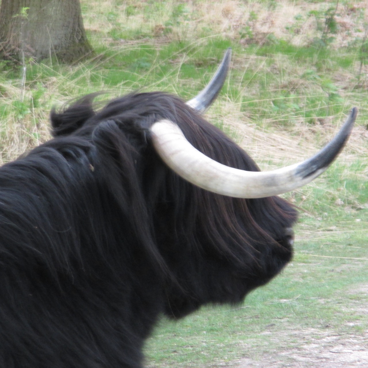 oerveiligheid